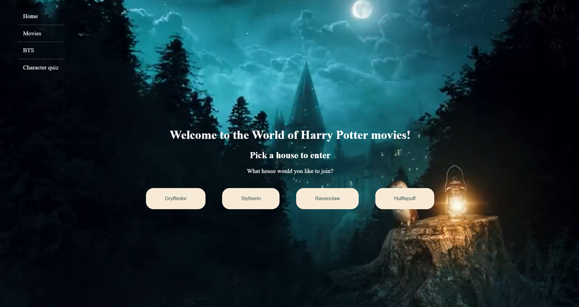 Harry Potter website project screenshot